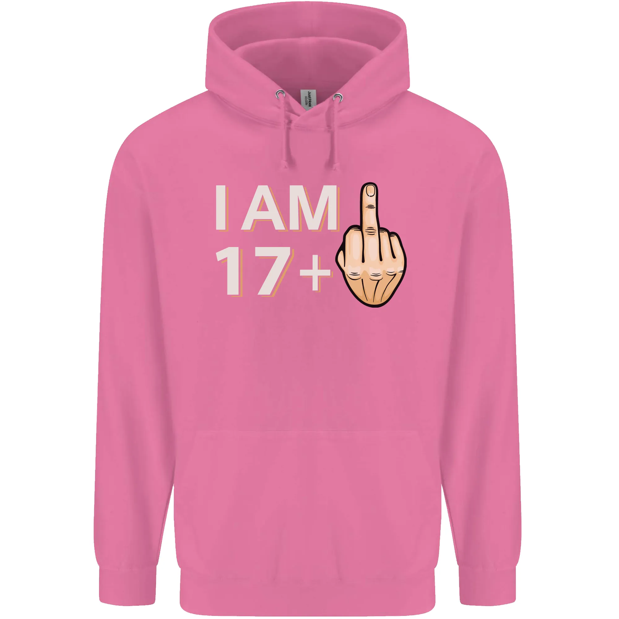 18th Birthday Funny Offensive 18 Year Old Mens 80% Cotton Hoodie