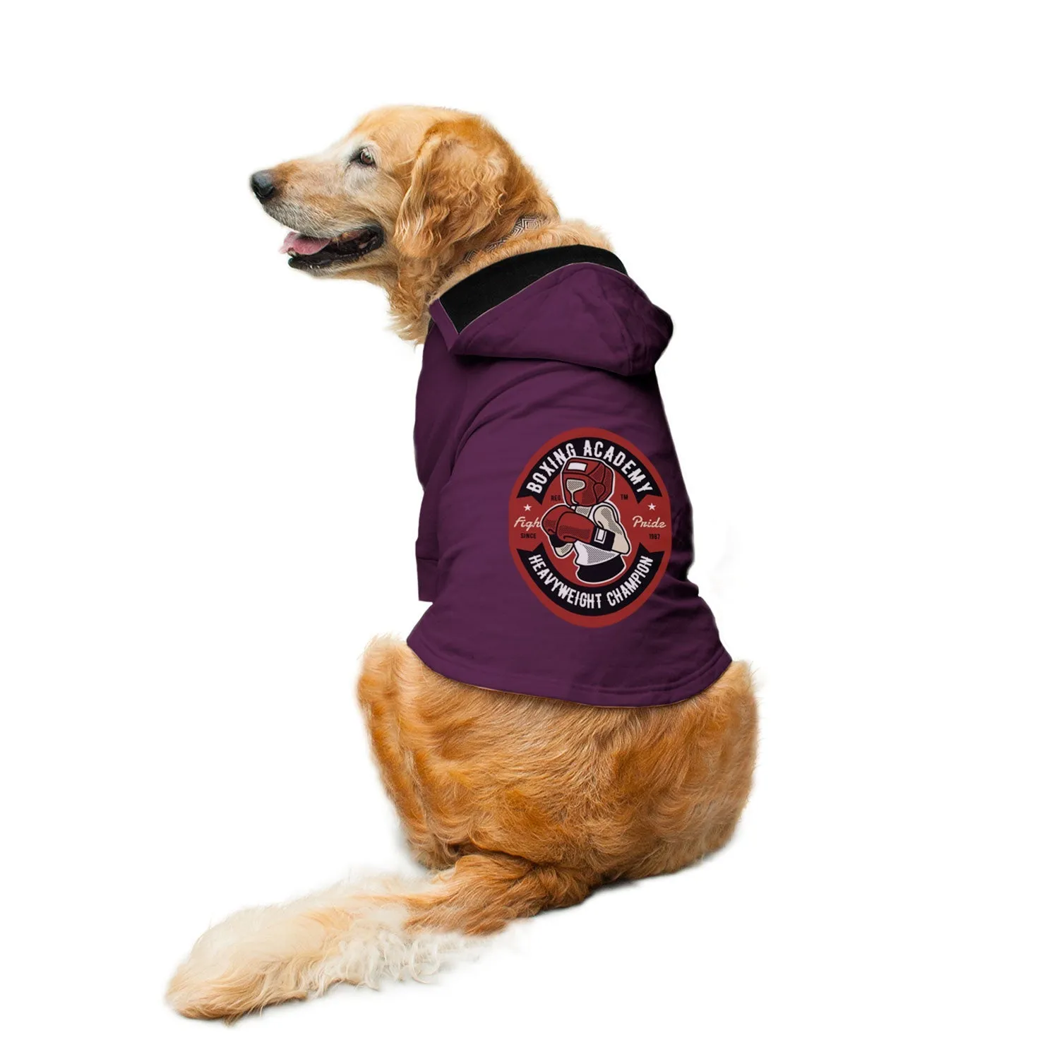 Boxing Academy Dog Hoodie Jacket