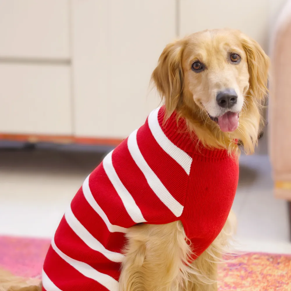 Pet Set Go Striped Sweater for Dogs (Red)